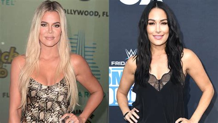 Brie Bella & More – Hollywood Life