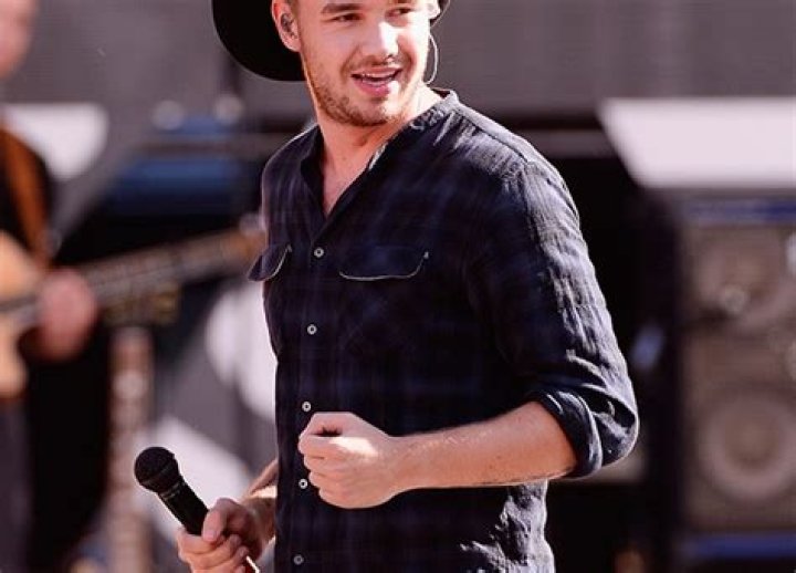 Is ‘Larry’ Real? — Liam Payne Sets Record Straight About Harry & Louis – Hollywood Life