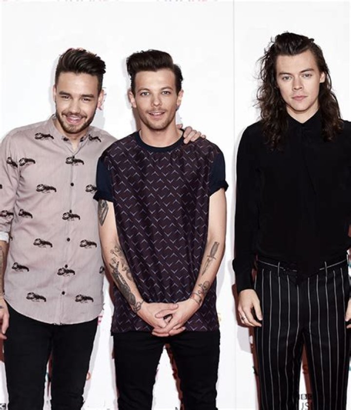 Kids On The Brain Now That Bandmates Liam & Louis Have Babies? – Hollywood Life