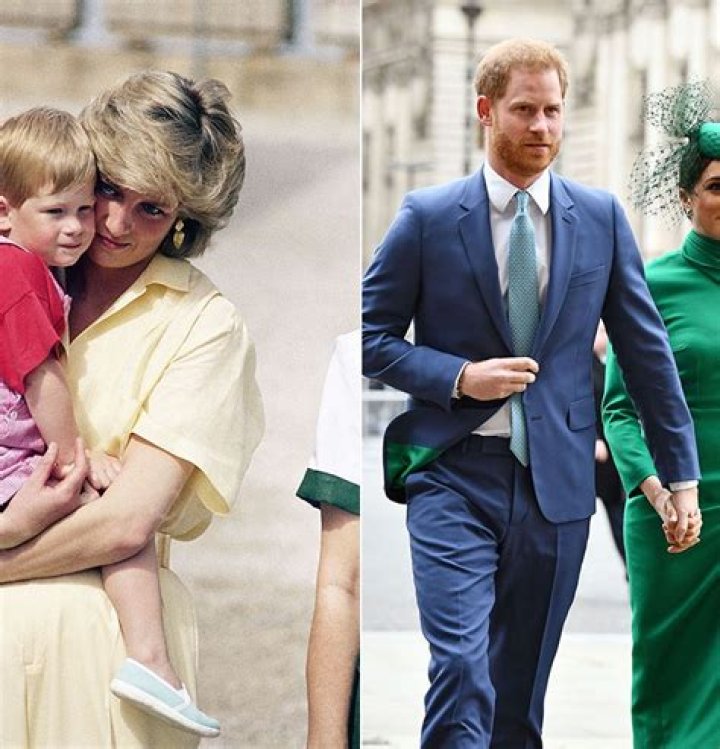 Prince Harry Pelts Tom Hanks With Rose Petals On ‘The Late Show’ – Hollywood Life